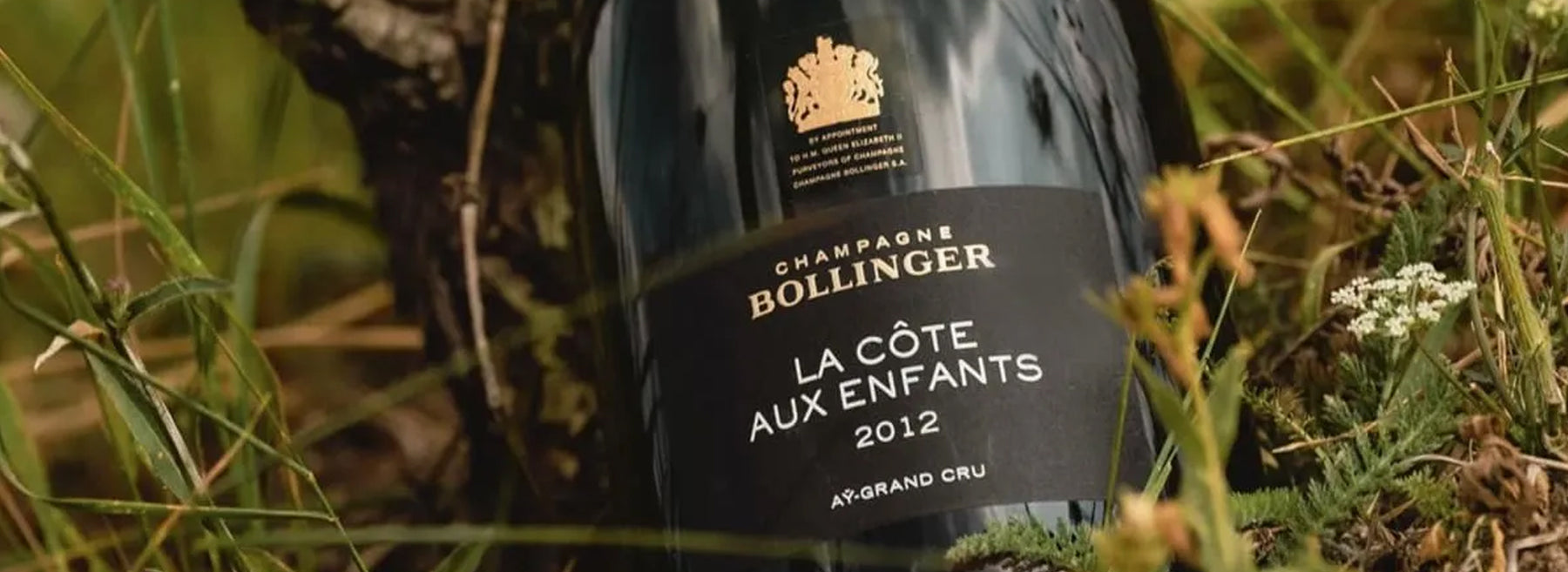 Crafting Perfection: Bollinger's Artistry with La Cote aux Enfants