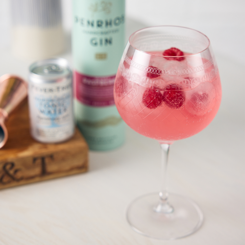 Penrhos Wonky Raspberry Gin