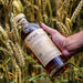 Arran 10 Year Old Whisky Buy Online