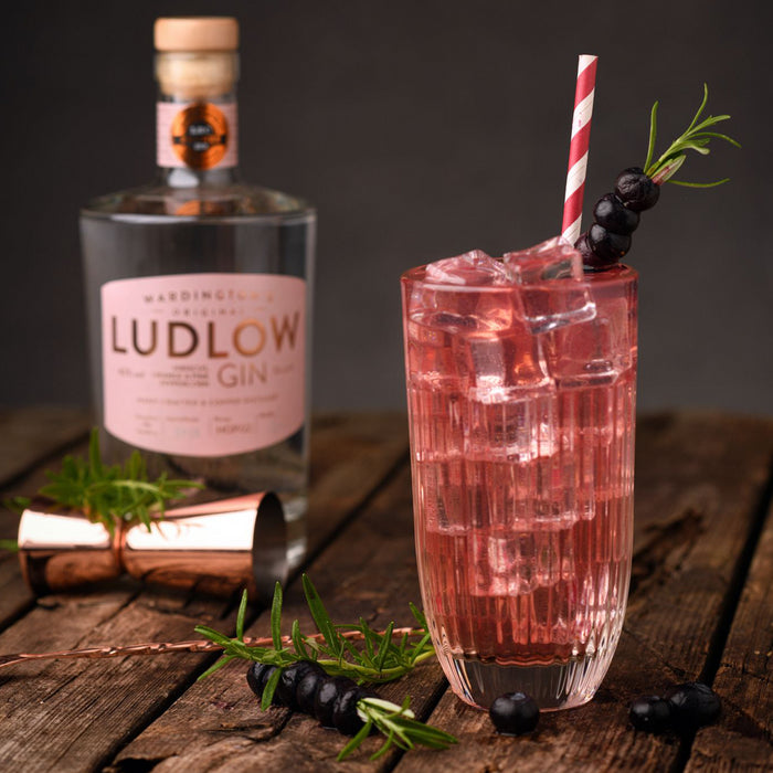 Ludlow No.4 Hibiscus, Orange & Pink Peppercorn Gin 70cl