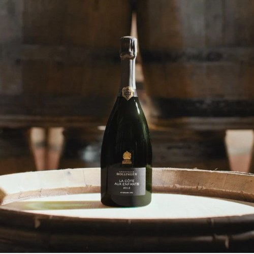 La Cote aux Enfants Champagne: the first single plot cuvee from Champagne Bollinger.