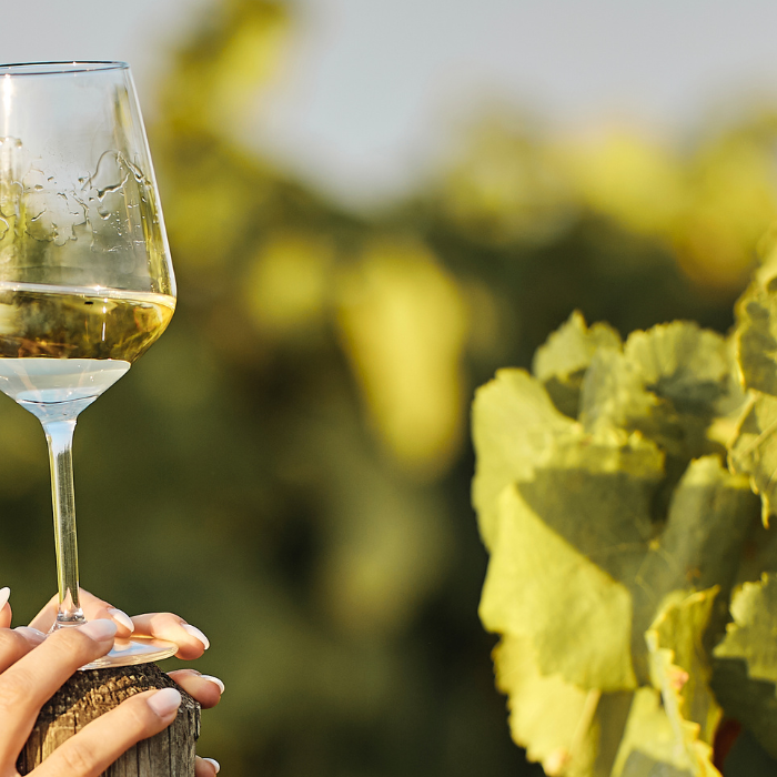 Sustainability in Sparkling Wine: Organic, Biodynamic & Eco‑Friendly Producers