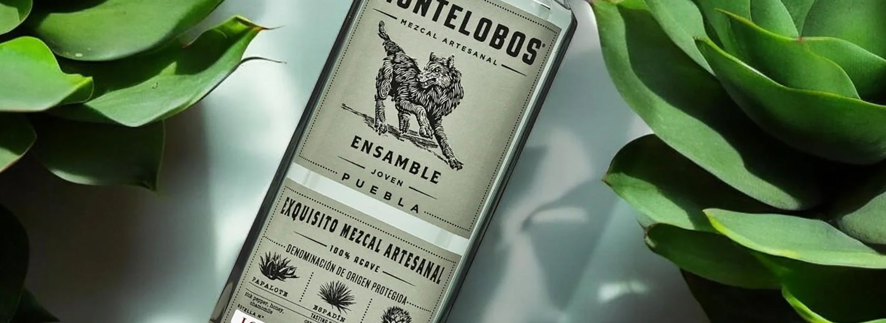 What Is Mezcal? An In-Depth Exploration Of Mexico’s Iconic Spirit