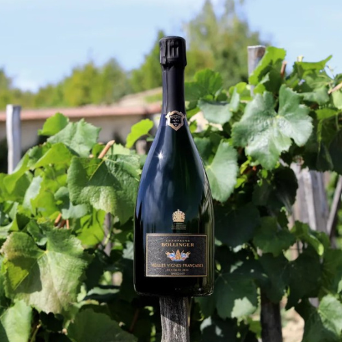 Bollinger Vieilles Vignes Françaises 2013 - The eternal taste and soul of Champagne