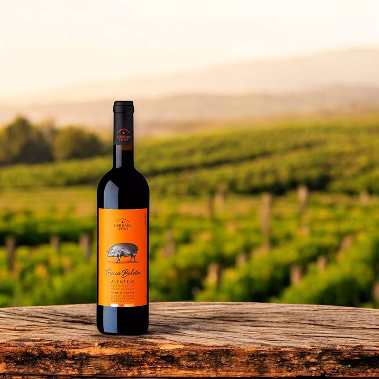 Alentejo Wine Region