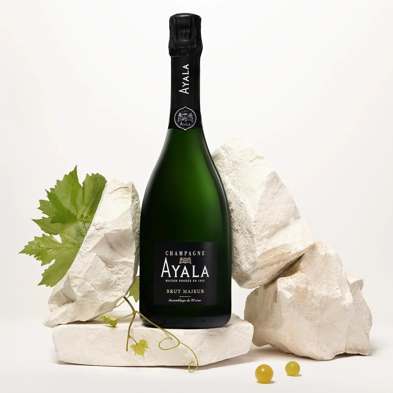 Brut Champagne