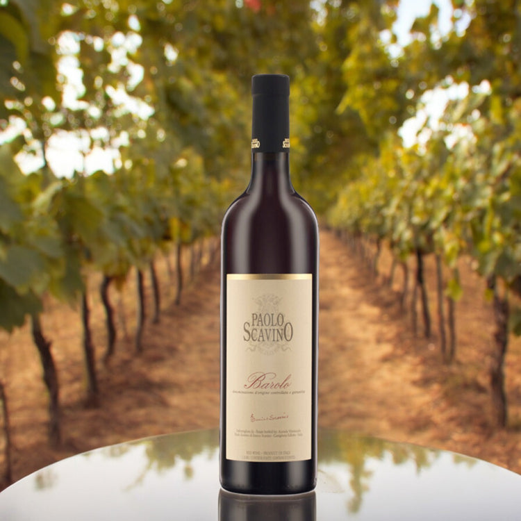 Piedmont Wines, Quality Wine Region In Italy