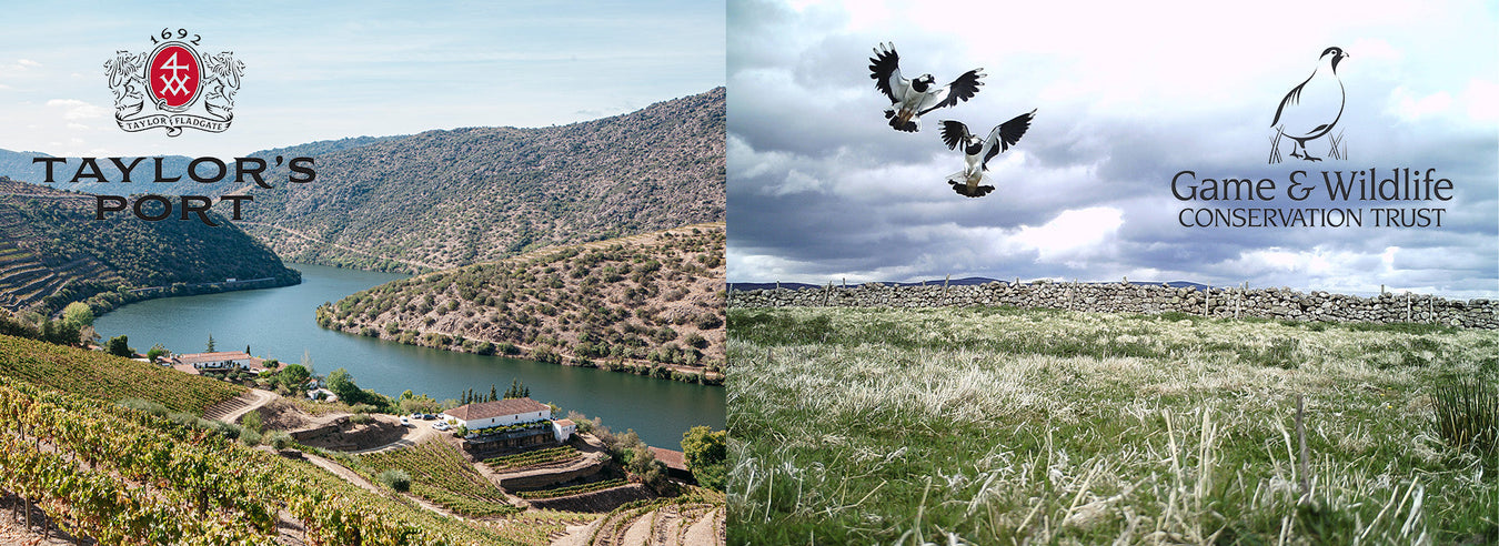 Taylor's Port x Game & Wildlife Conservation Trust