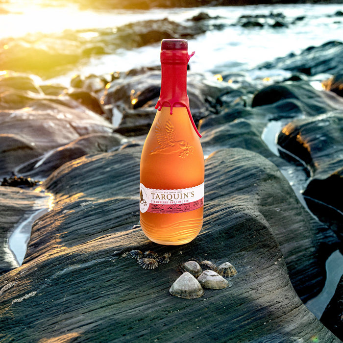 Tarquins Strawberry & Lime Gin