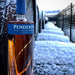 Penderyn Distillery Portwood