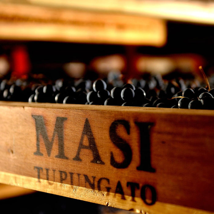 Masi Grapes