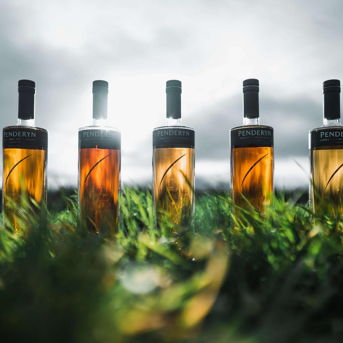 Penderyn Sherrywood Finish Gold Range 2