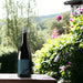 Enjoy South African Wine In The Garden