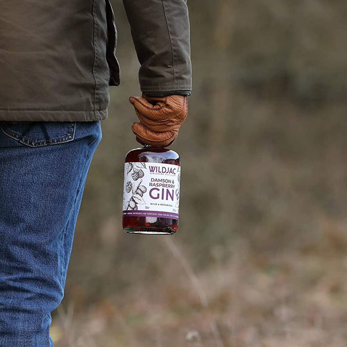 Wildjac Damson & Raspberry Gin