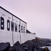 Bowmore 15 Year Old Whisky