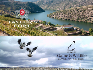 Taylor's Port x Game & Wildlife Conservation Trust