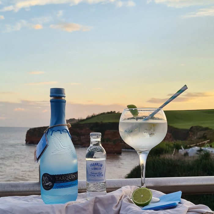 Bottle of Tarquins Dry Gin, tonic & cocktail overlooking Cornwall bay