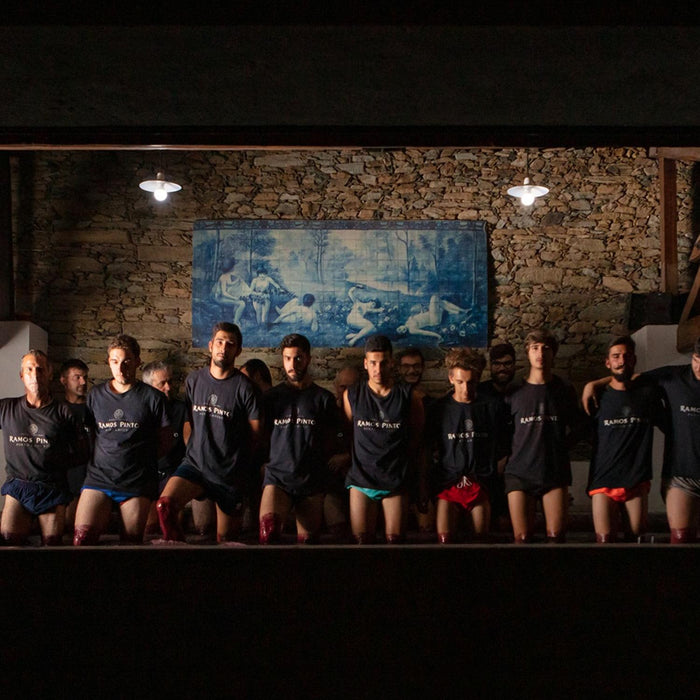 Ramos Pinto LBV Port 2019 75cl