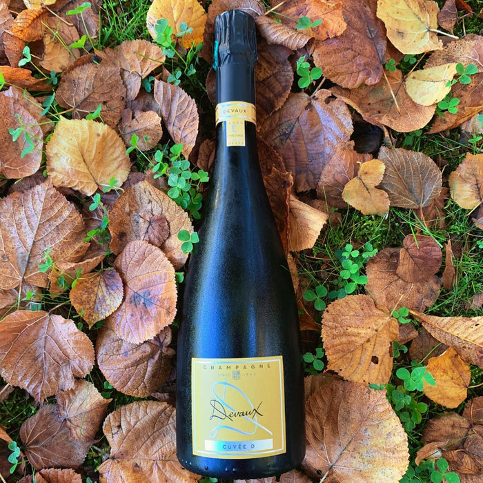 Devaux Champagne In Autumn