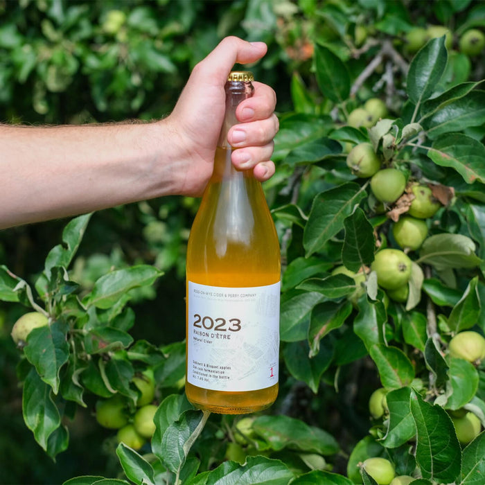 Ross-On-Wye Raison D'Etre Cider 2023 75cl
