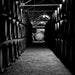 Glenfiddich Barrels In Cellar