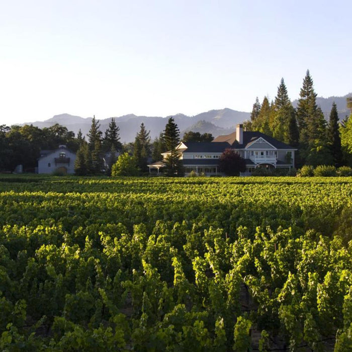 Duckhorn Vineyards Napa Valley Merlot 