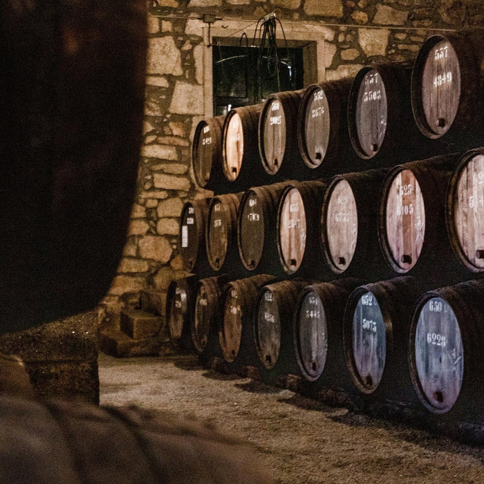 Barrels In Cellar
