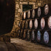 Barrels In Cellar