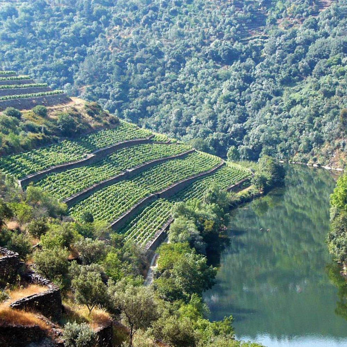 Fonseca Tawny Port In Wooden Gift Box 50cl