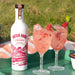 Dutch Barn Vodka British Raspberry Cocktail