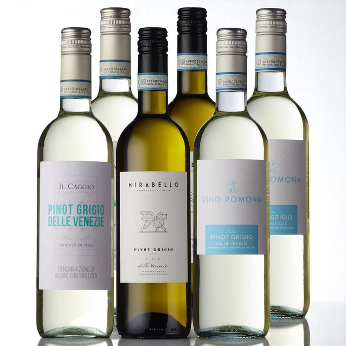 Pinot Grigio White Wine Case Deal