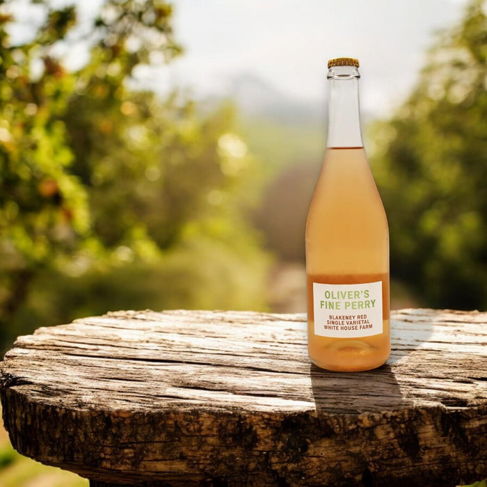 Oliver's Blakeney Red Perry In Orchard