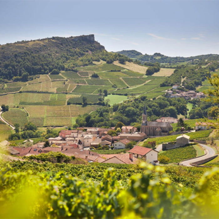 Domaine Ferret Pouilly-Fuisse Vineyard