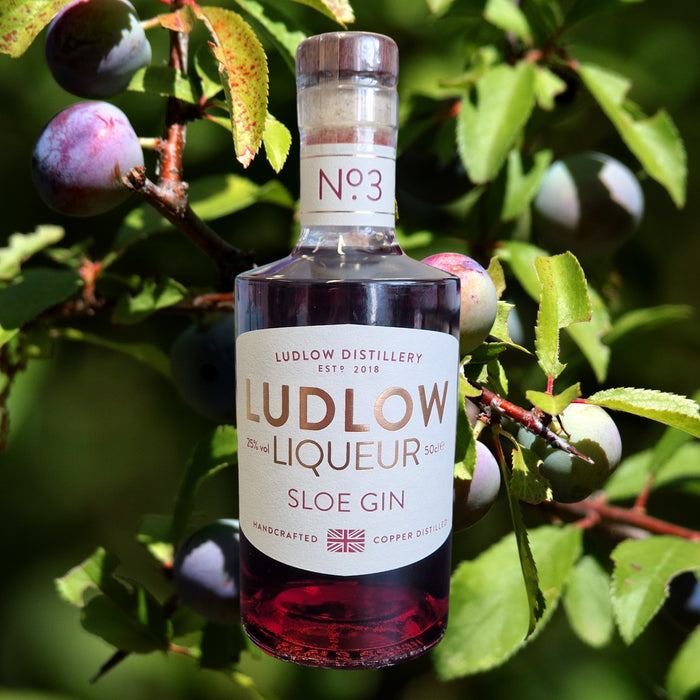 Ludlow Sloe Gin against a Sloe Gin Tree