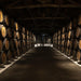 Sandeman Cellars
