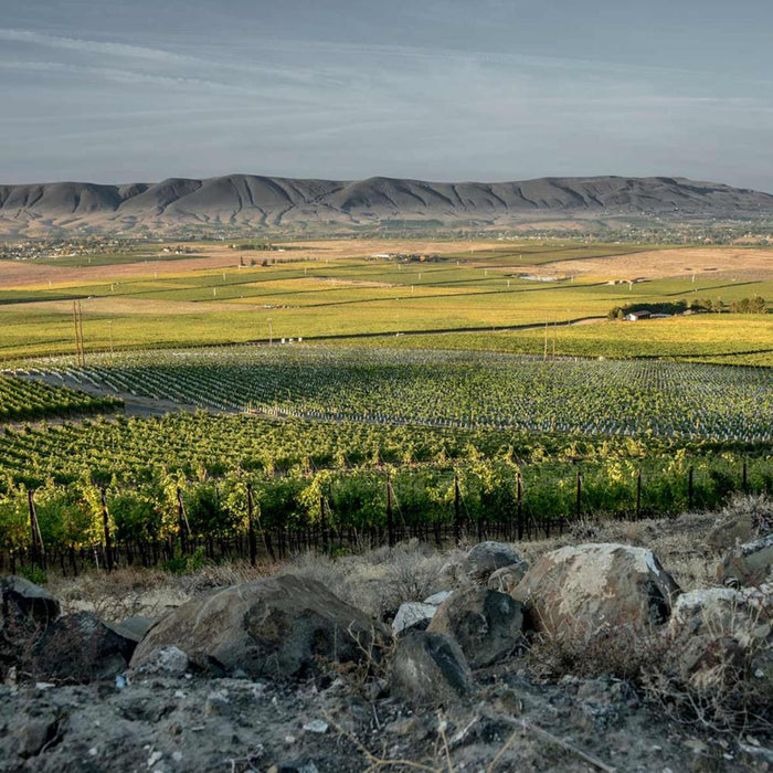 Duckhorn Vineyards Napa Valley Merlot 