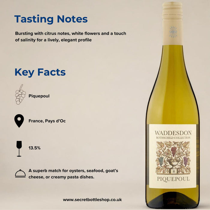 Rothschild Piquepoul Tasting Notes