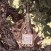Chateau d'Esclans Garrus Provence Rose Wine 2021 7