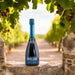 Hambledon Premiere Cuvee English Sparkling Wine At The Vineyard