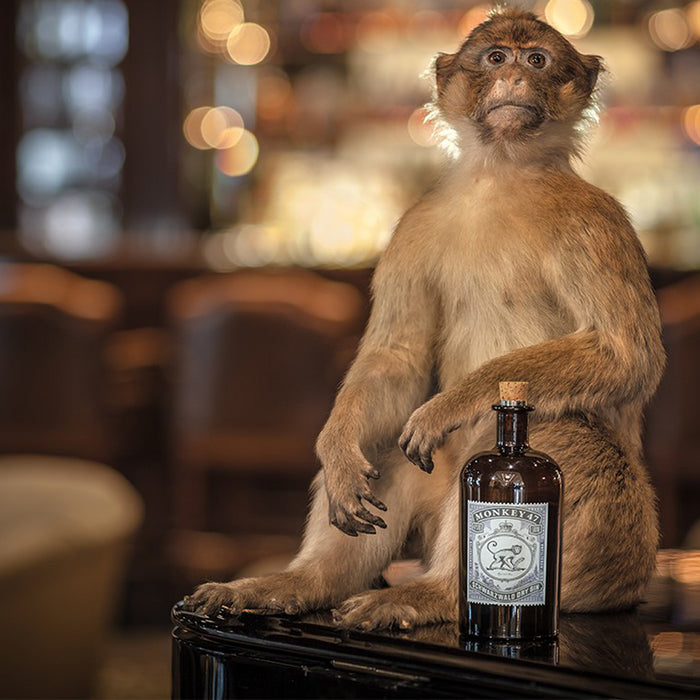 Monkey 47 Schwarzwald Dry Gin Miniature