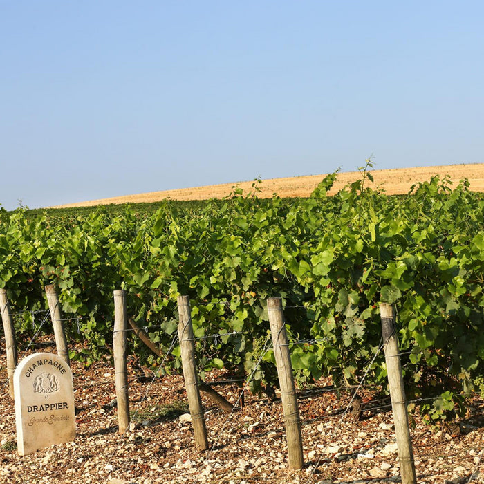 Drappier Quattuor Blanc De 4 Blancs Champagne NV 75cl