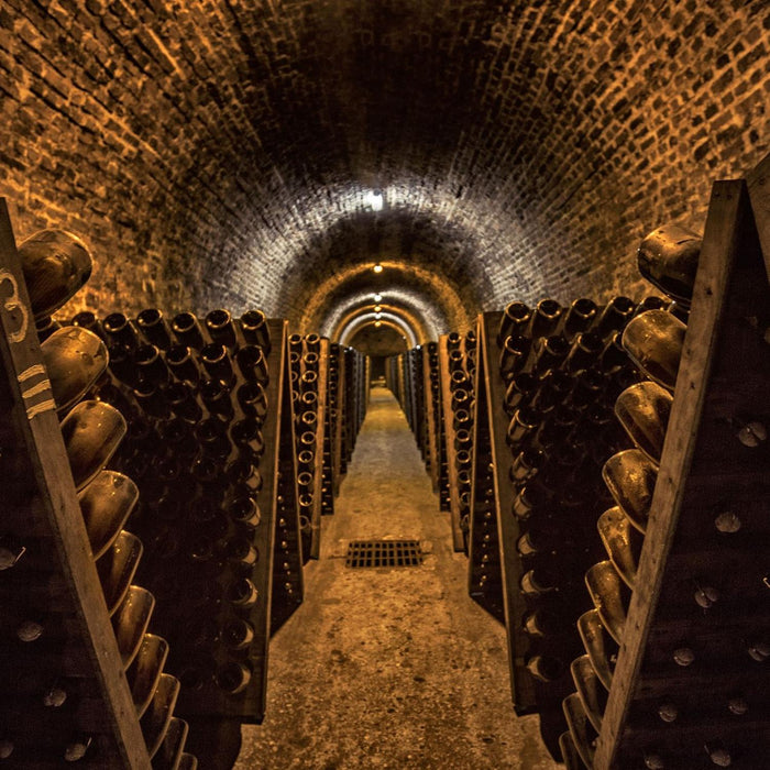 Bollinger Special Cuvee Champagne Magnum 150cl