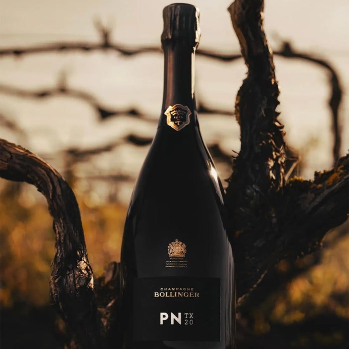 Bollinger PN TX20 Champagne