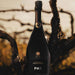 Bollinger PN TX20 Champagne