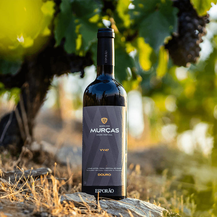 Esporao Quinta Dos Murcas VV47 2015 Magnum Bottle In Portugal Vineyard