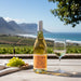 Bottle of white wine with a glass and grapes on a table with a scenic background