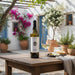 Bottle of Anhydrous Afoura Santorini Assyrtiko on a wooden table with a glass and snacks, outdoor setting with flowers and plants.
