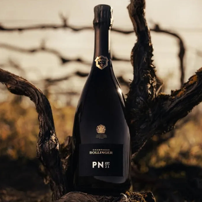 Bollinger PN AYC21