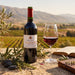 A bottle of Musar red wine stands on a stone surface beside a filled wine glass, with olive branches, rocks, an open book, and a blurred vineyard landscape in the background. The bottle label reads 'Hochar'.