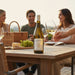 Friends Sharing Hubert Brochard Sancerre  At A Picnic
